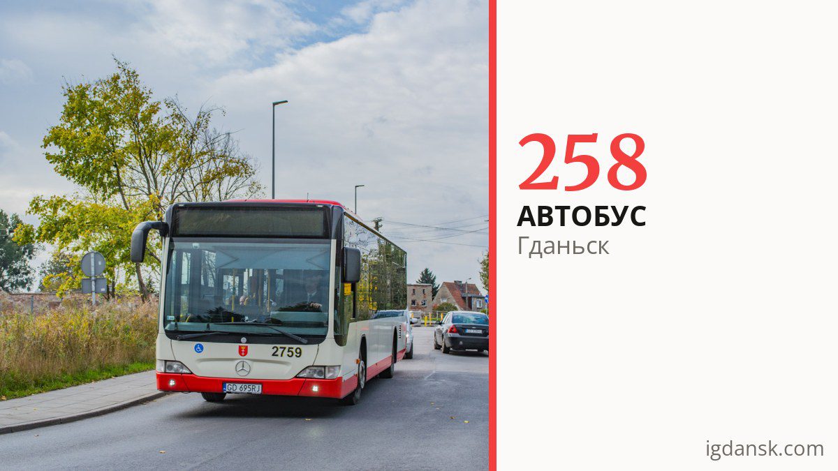 Автобус 258 в Гданьске