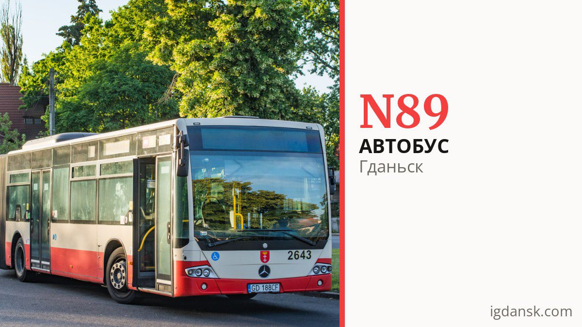 Ночной автобус N89 в Гданьске