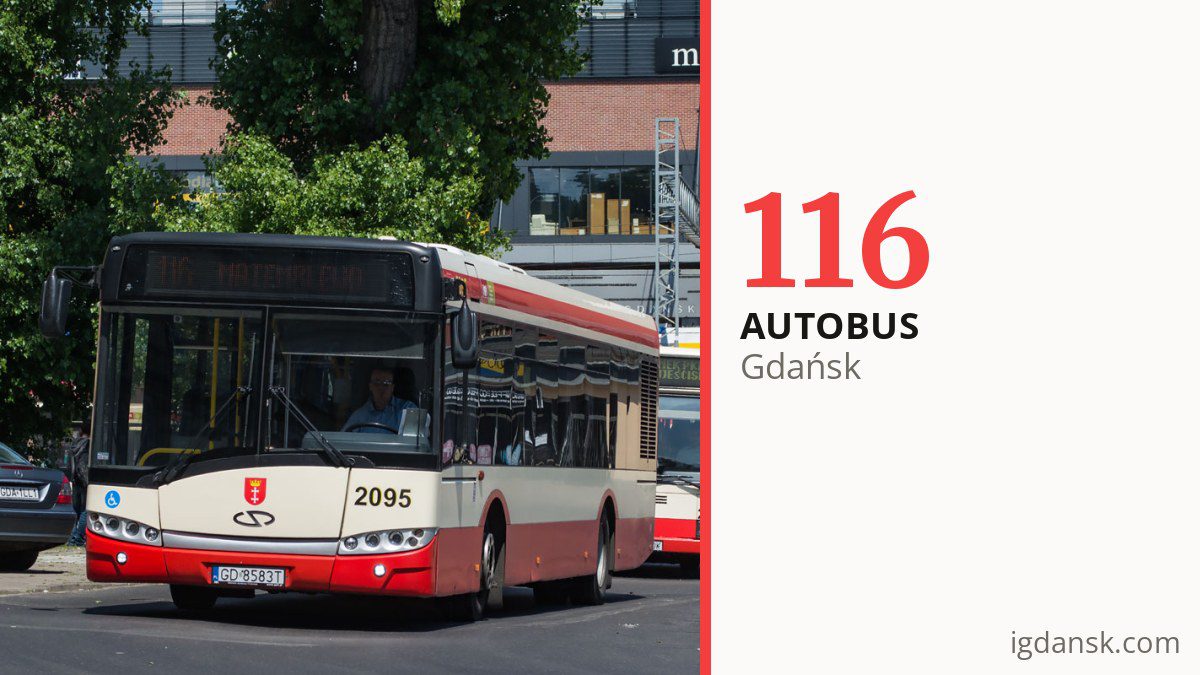 Autobus 116 w Gdańsku