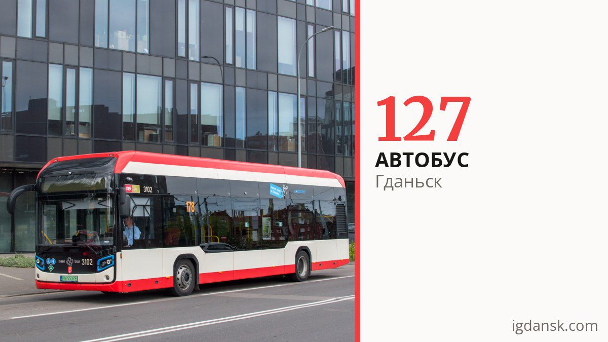 Автобус 127 в Гданьске