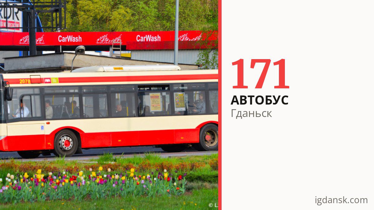 Автобус 171 в Гданьске