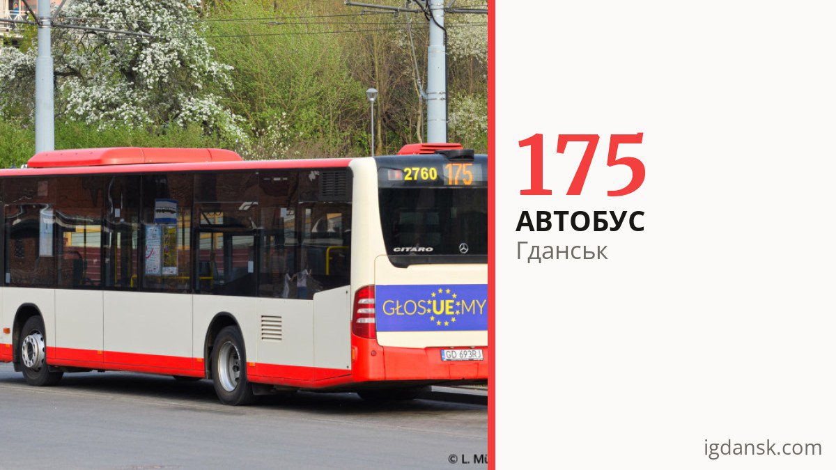 Автобус 175 у Гданську