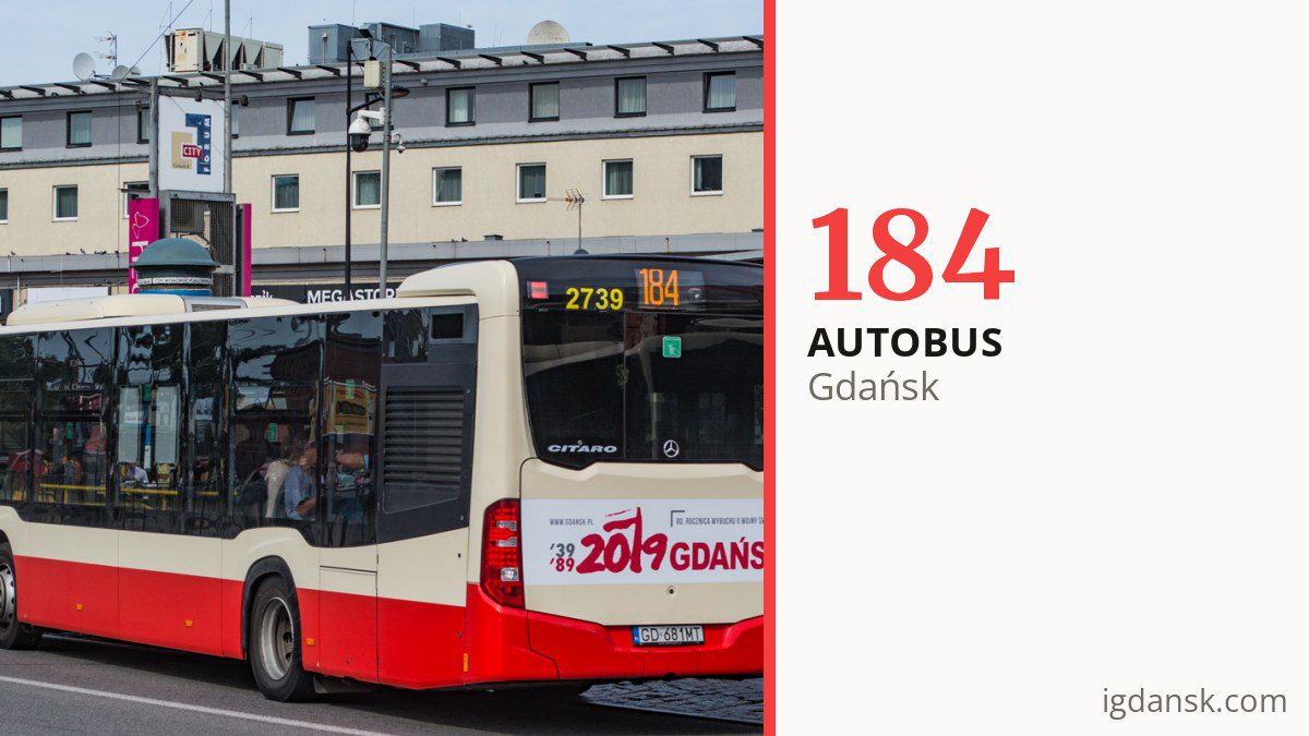 Autobus 184 w Gdańsku