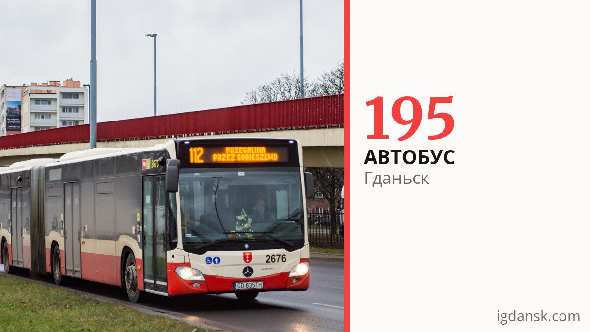 Автобус 195 в Гданьске