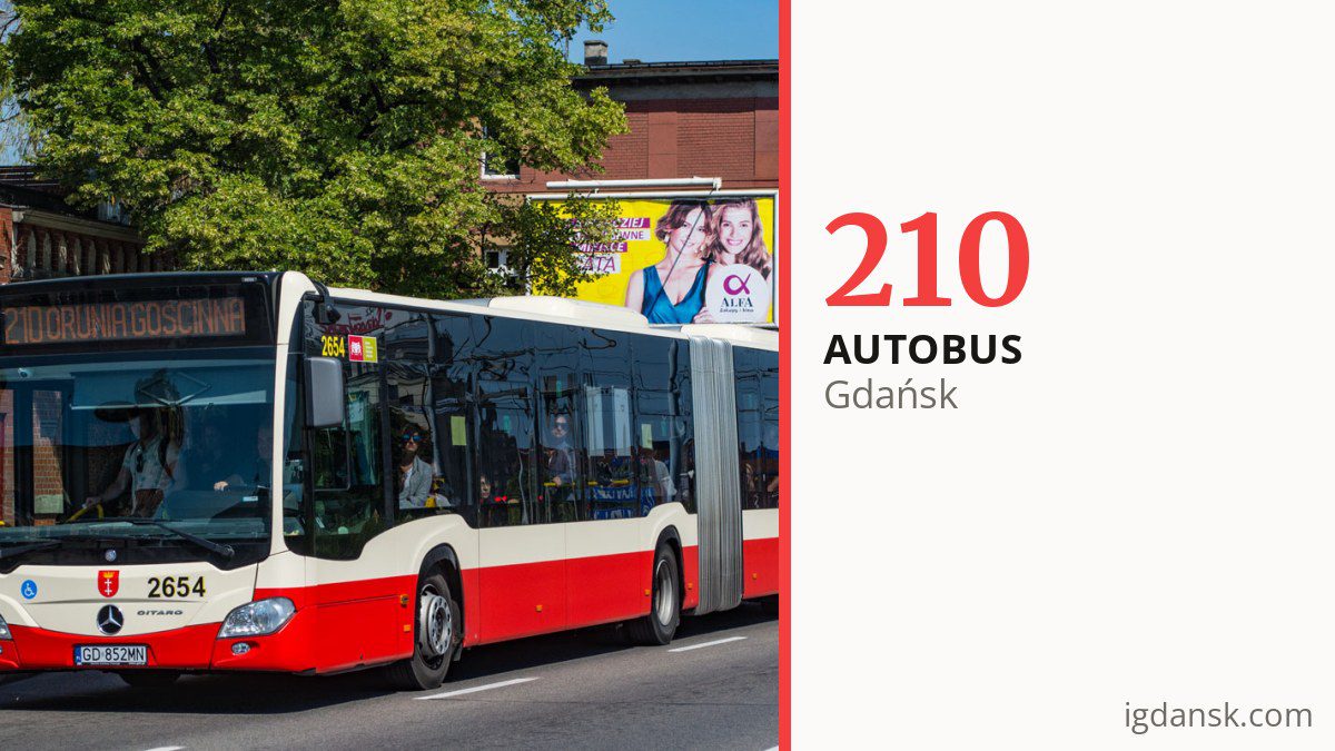 Autobus 210 w Gdańsku