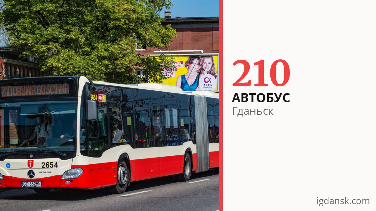 Автобус 210 в Гданьске