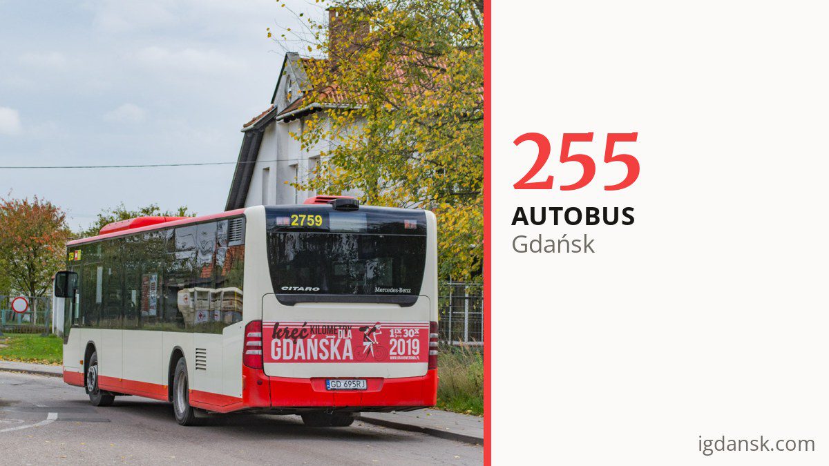 Autobus 255 w Gdańsku