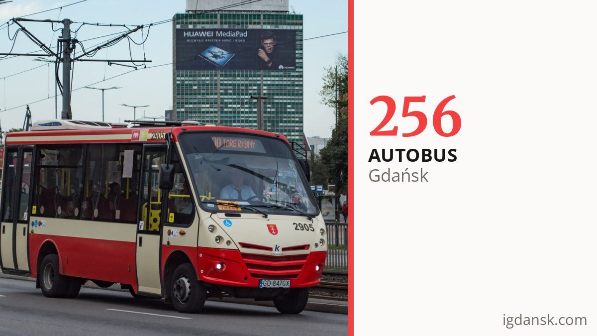 Autobus 256 w Gdańsku