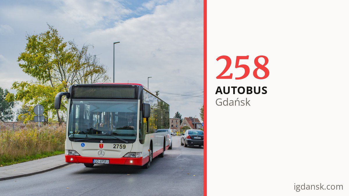 Autobus 258 w Gdańsku