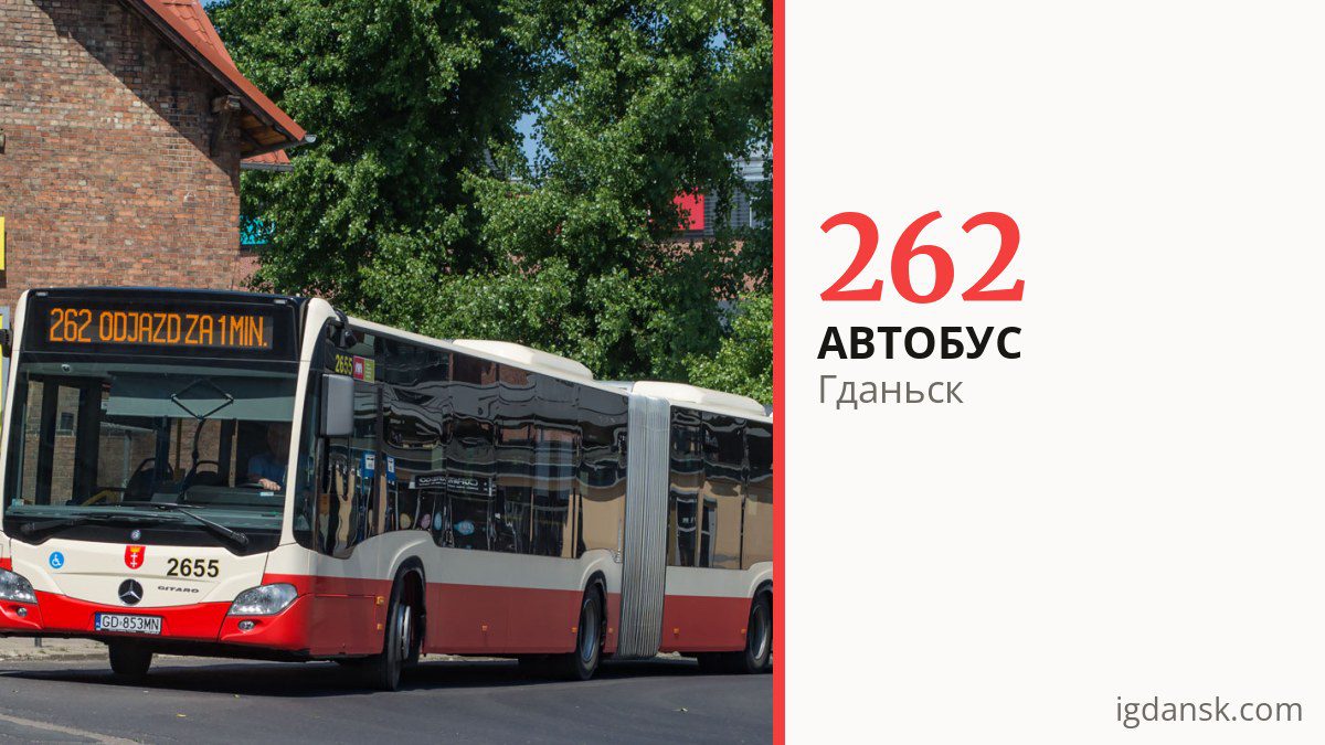 Автобус 262 в Гданьске