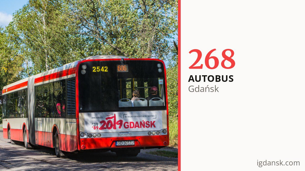 Autobus 268 w Gdańsku