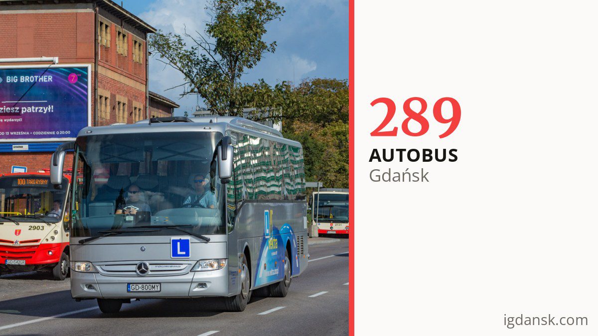 Autobus 289 w Gdańsku