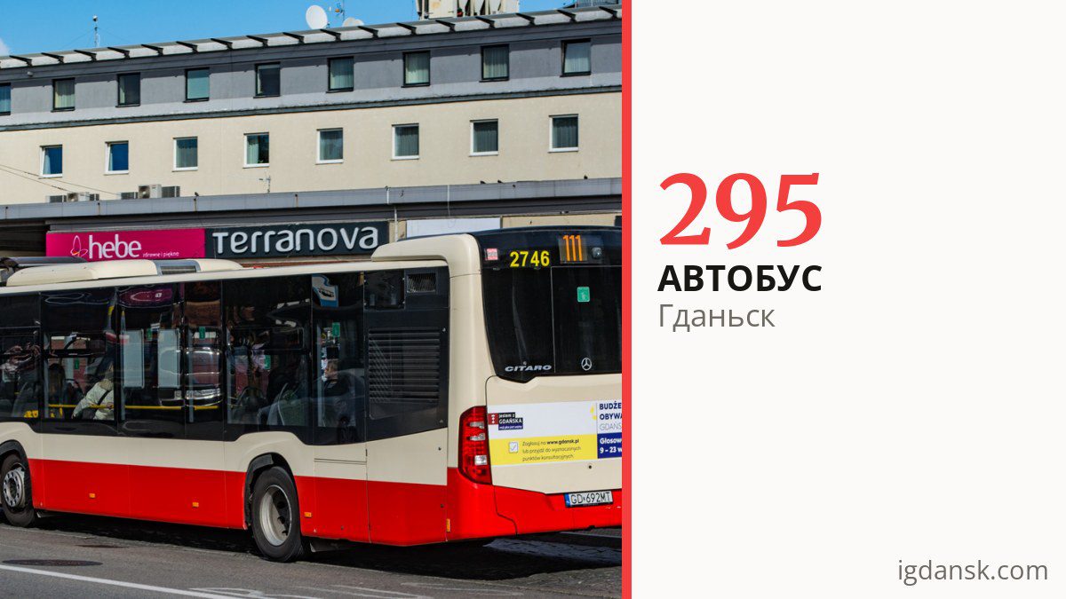 Автобус 295 в Гданьске
