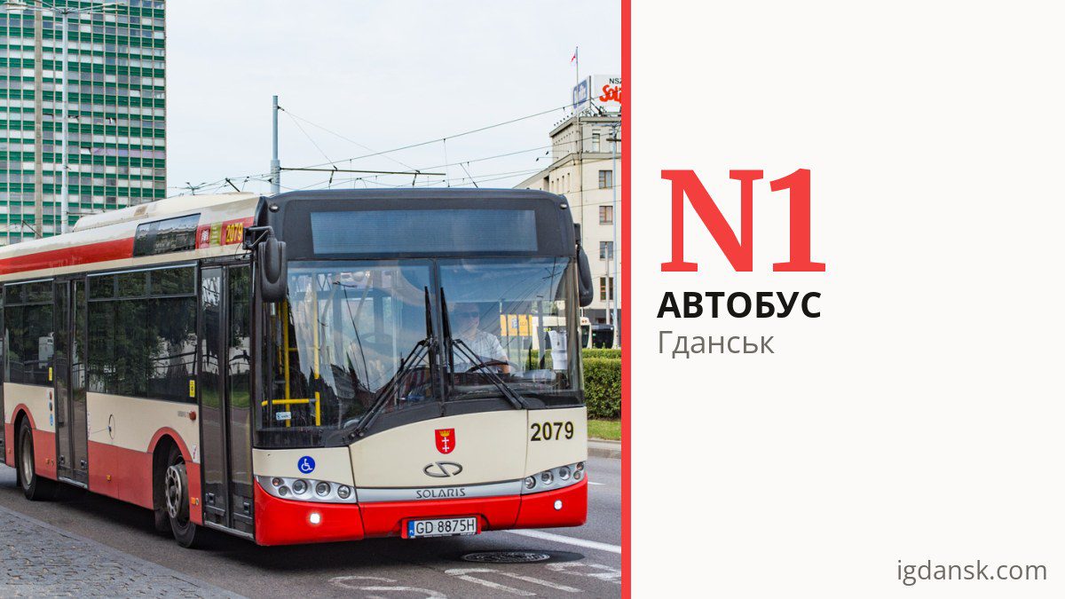 Нічний автобус N1 у Гданську
