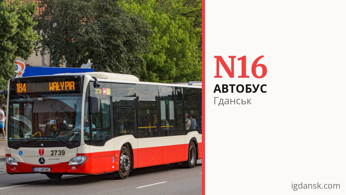 Нічний автобус N16 у Гданську