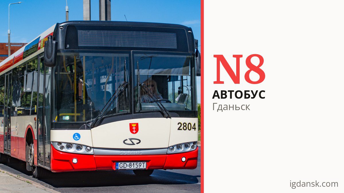 Ночной автобус N8 в Гданьске