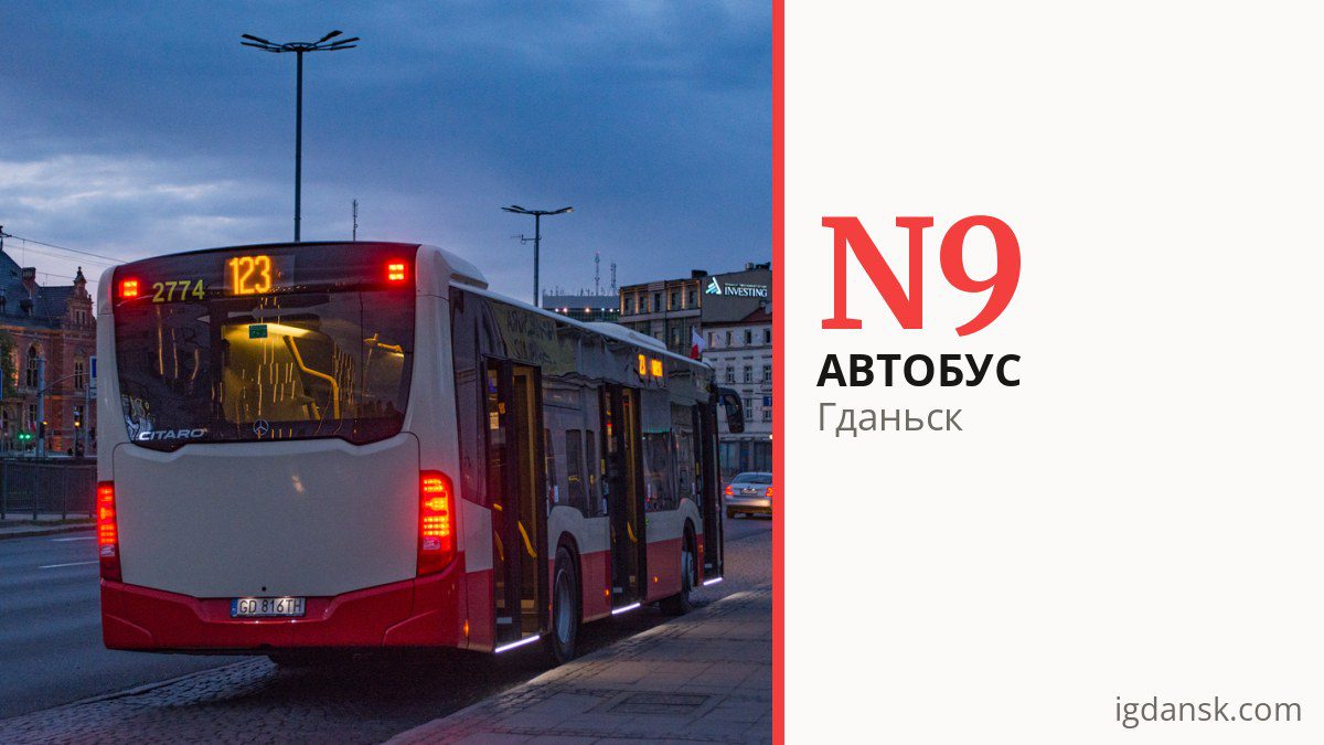 Ночной автобус N9 в Гданьске